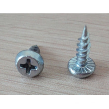 Pan Frame Head Self Tapping Screw